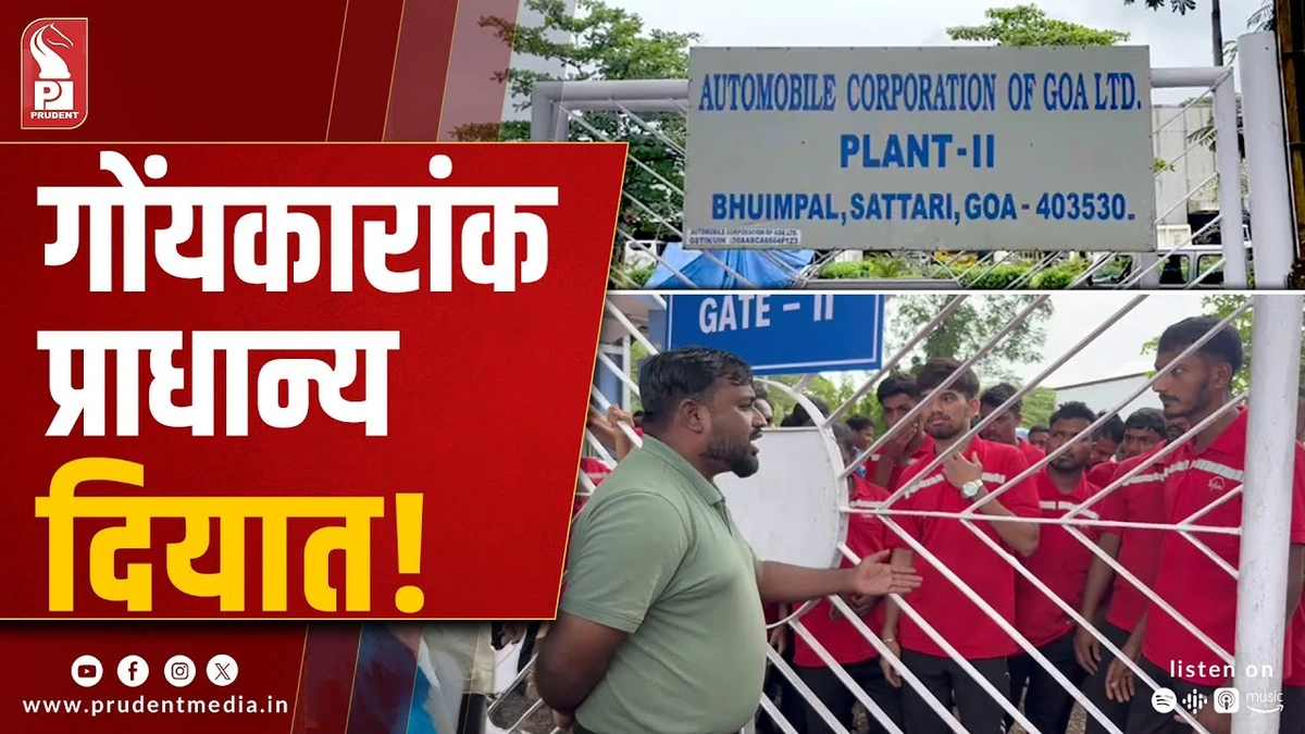 Decoding the Momentum | What's the Hype About?